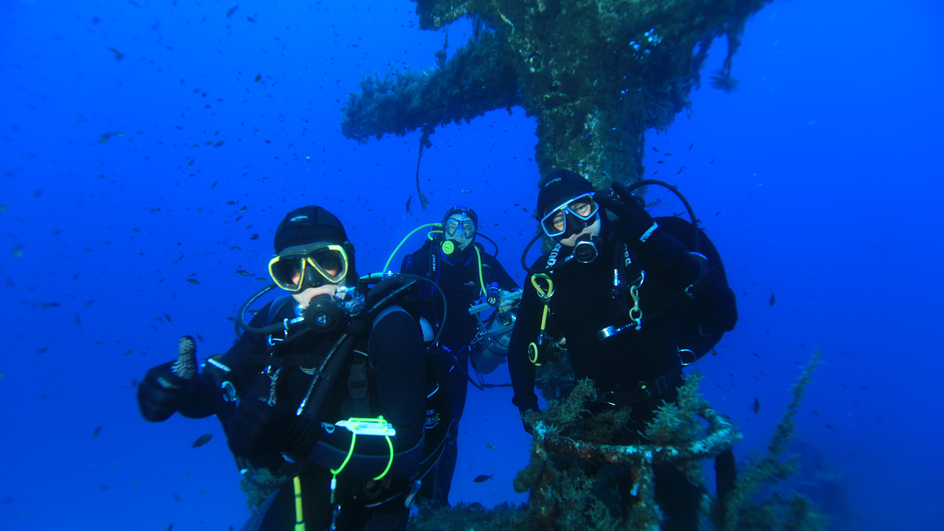 Dry Suit Diver — szkolenie nurkowe IDF