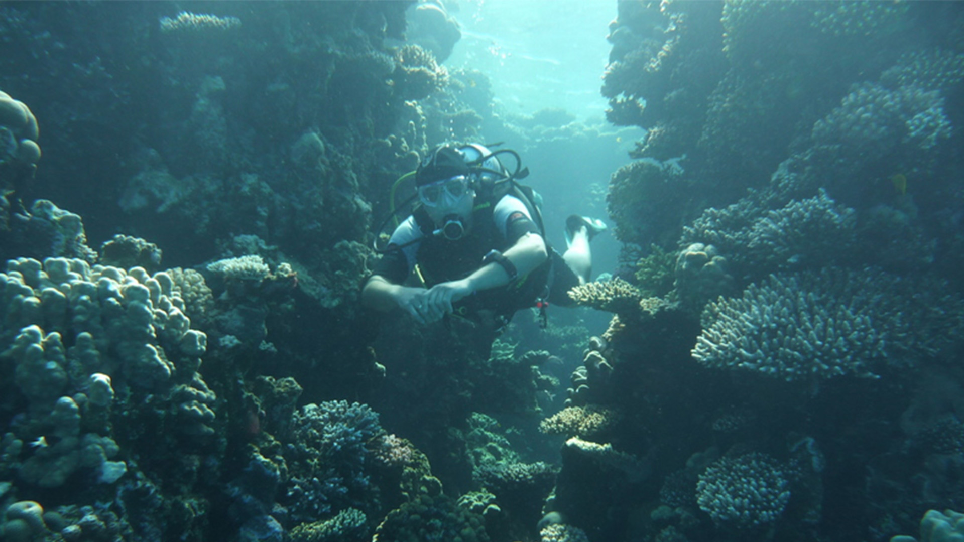 Night Diver — szkolenie nurkowe IDF